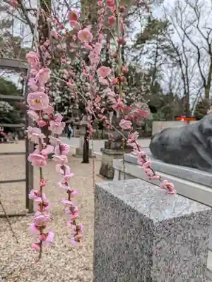 布多天神社(東京都)