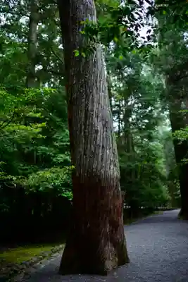 瀧原宮(皇大神宮別宮)(三重県)