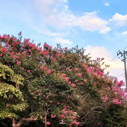 長命寺(福島県)