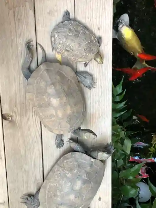 心城院(東京都)