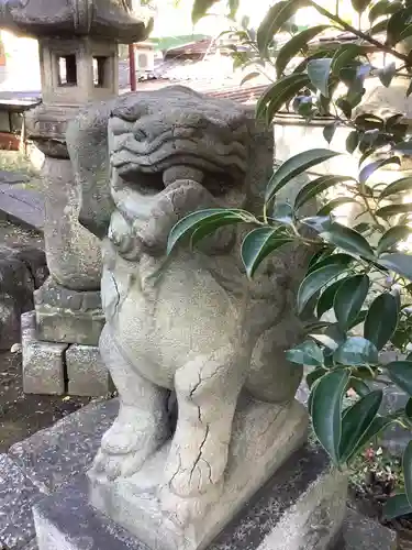 日出神社の狛犬