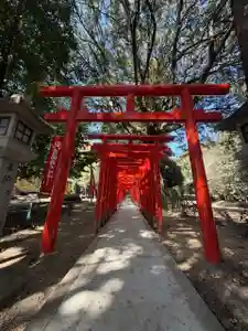 手力雄神社(岐阜県)(2026年03月16日(月) 21時00分24秒投稿)