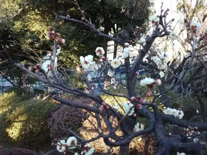 正福寺(神奈川県)