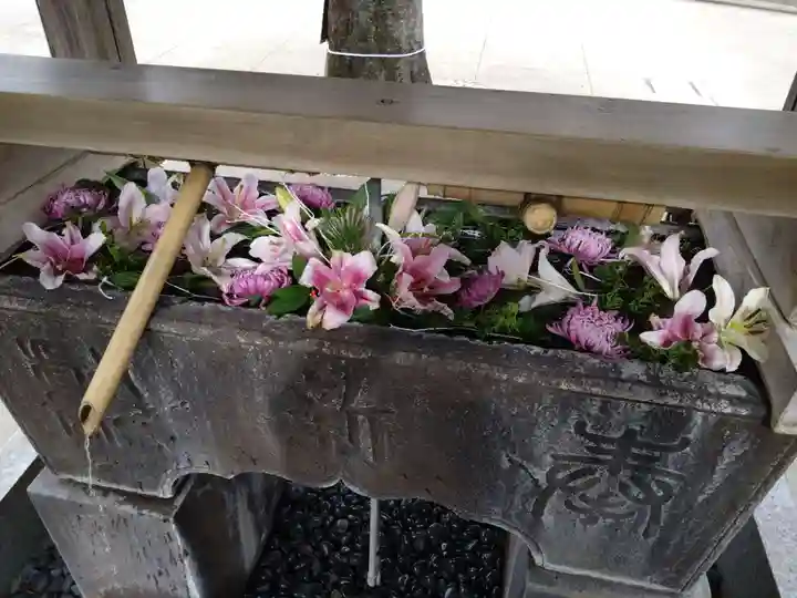鳩森八幡神社の手水舎
