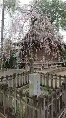 布多天神社の庭園