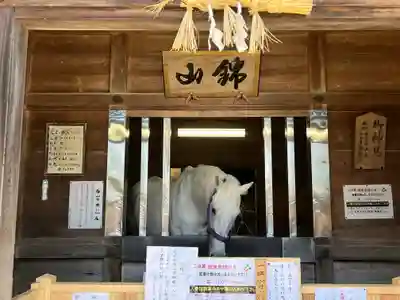 多度大社(三重県)