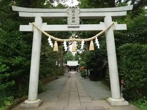 星川杉山神社の鳥居