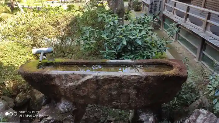 青蓮院門跡の手水舎