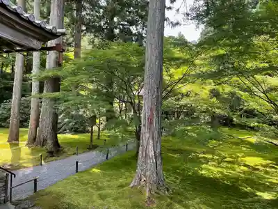 三千院門跡(京都府)