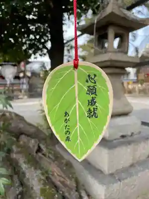 縣神社の絵馬