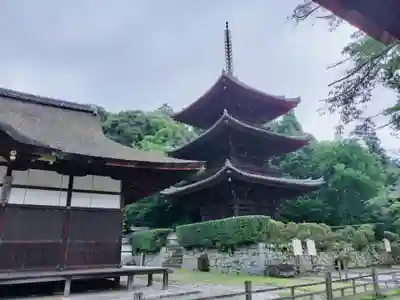 園城寺（三井寺）(滋賀県)