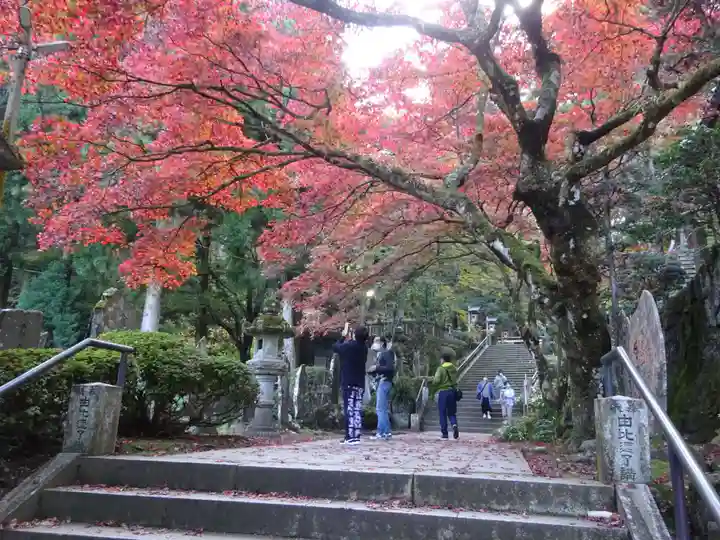 最乗寺(道了尊)の自然