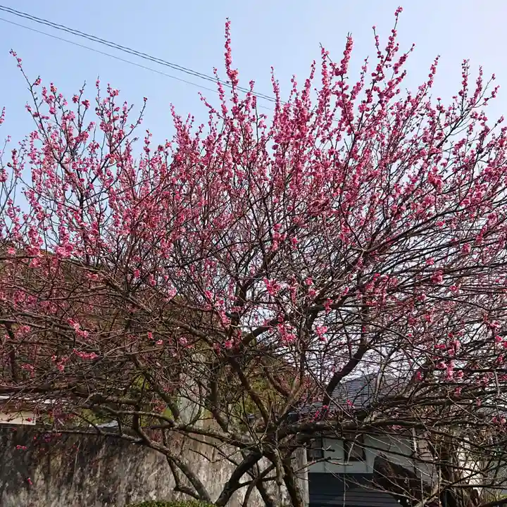 金熊寺(大阪府)