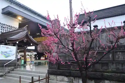 成田山深川不動堂（新勝寺東京別院）(東京都)