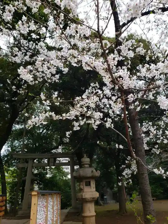 赤坂氷川神社(東京都)
