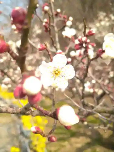 神前神社の自然