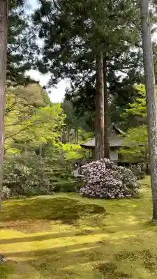 三千院門跡(京都府)