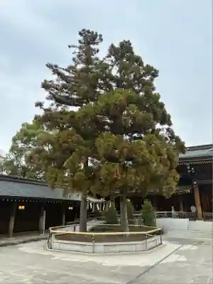 寒川神社(神奈川県)