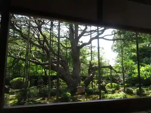 宝泉院の庭園