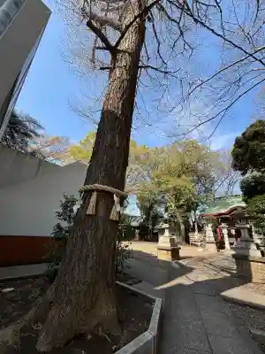 駒繋神社(東京都)