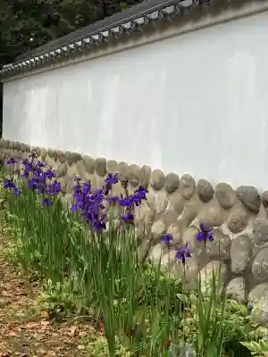 賀茂神社の{uncategorized: "未分類", other: "その他", undefined: "問題あり", building: "その他建物", grave: "お墓", sacred_gate: "鳥居", guardian: "狛犬", statue: "像", buddha: "仏像", history: "歴史", nature: "自然", garden: "庭園", animal: "動物", pagoda: "塔", temizu: "手水舎", mountain_gate: "山門・神門", sanctuary: "本殿・本堂", subordinate: "末社・摂社", art: "芸術", scenery: "景色", jizo: "地蔵", ema: "絵馬", goshuin: "御朱印", omikuji: "おみくじ", items: "授与品その他", amulet: "お守り", goshuincho: "御朱印帳", eats: "食事", festival: "お祭り", votive_dance: "神楽", shichigosan: "七五三参", wedding: "結婚式", experience: "体験その他", initially: "初詣", around: "周辺", anti_infection: "感染症対策"}