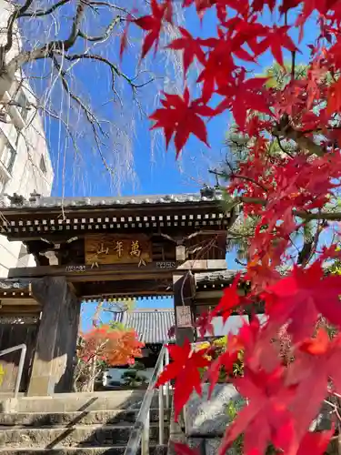 法輪寺の山門