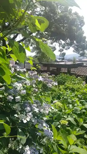 吉備津神社(岡山県)