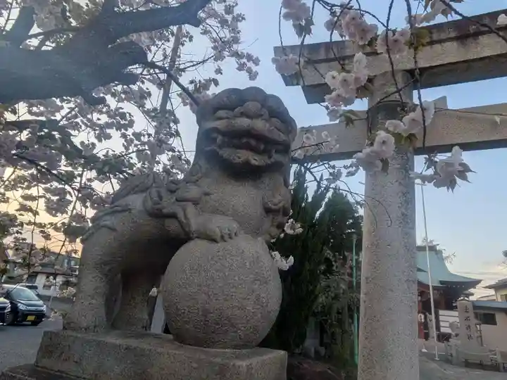 上千葉香取神社(東京都)