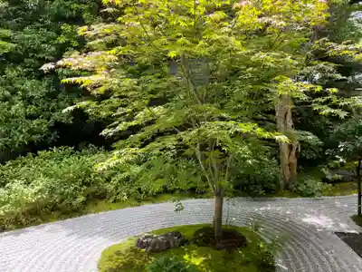 霊源院(京都府)