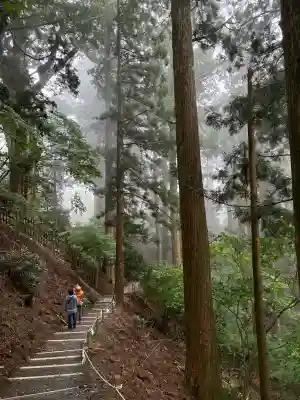 玉置神社の{uncategorized: "未分類", other: "その他", undefined: "問題あり", building: "その他建物", grave: "お墓", sacred_gate: "鳥居", guardian: "狛犬", statue: "像", buddha: "仏像", history: "歴史", nature: "自然", garden: "庭園", animal: "動物", pagoda: "塔", temizu: "手水舎", mountain_gate: "山門・神門", sanctuary: "本殿・本堂", subordinate: "末社・摂社", art: "芸術", scenery: "景色", jizo: "地蔵", ema: "絵馬", goshuin: "御朱印", omikuji: "おみくじ", items: "授与品その他", amulet: "お守り", goshuincho: "御朱印帳", eats: "食事", festival: "お祭り", votive_dance: "神楽", shichigosan: "七五三参", wedding: "結婚式", experience: "体験その他", initially: "初詣", around: "周辺", anti_infection: "感染症対策"}