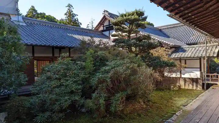 隨心院(随心院)(京都府)