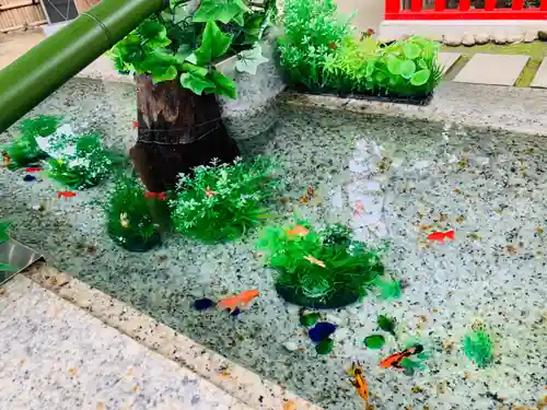 新田神社の手水舎