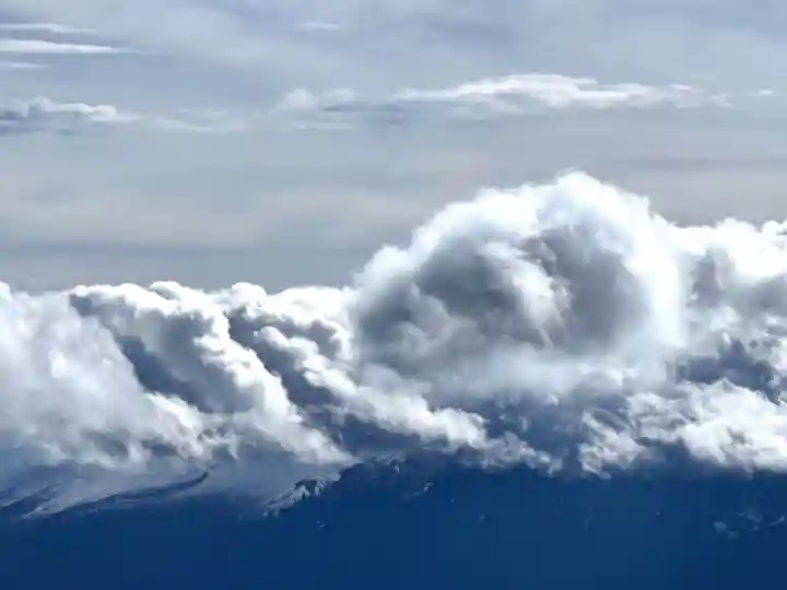 東花童子の景色