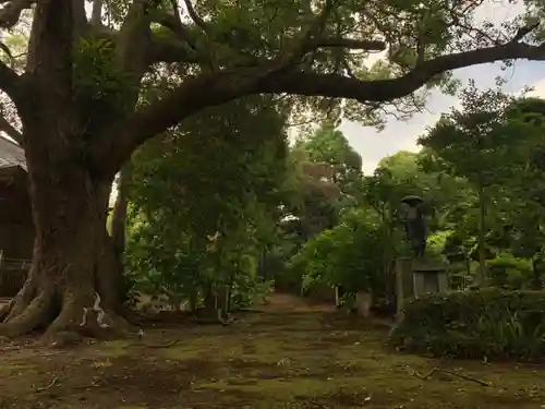 海寳寺(千葉県)