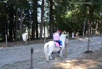 出雲伊波比神社(埼玉県)