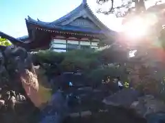 高野山真言宗　喬正院の庭園