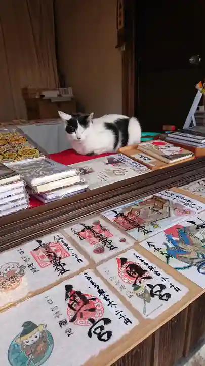 賀茂別雷神社の動物