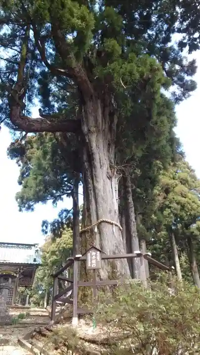 身延山奥之院思親閣(山梨県)