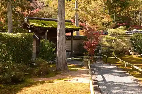 圓通寺(京都府)