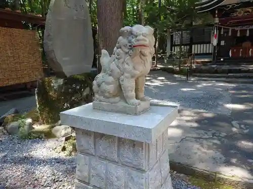 新屋山神社の狛犬