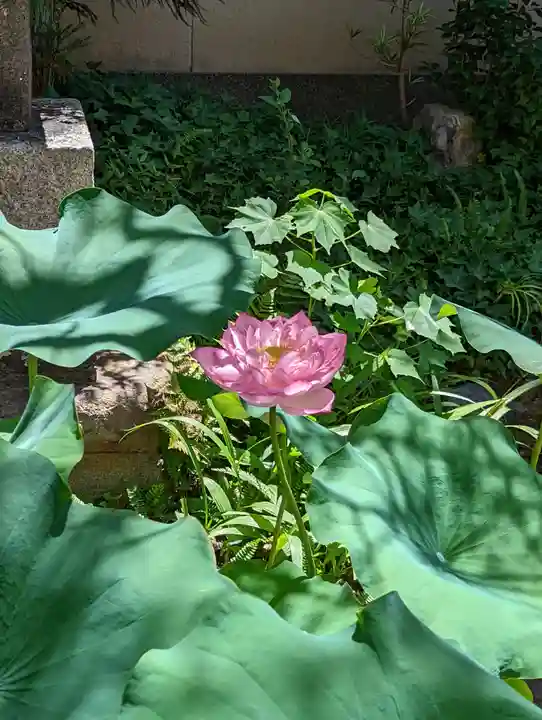 休務寺(京都府)