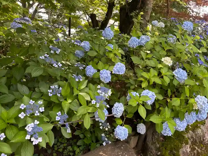 本土寺(千葉県)