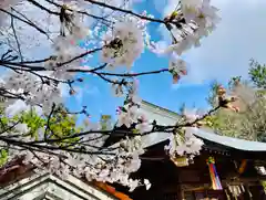 滑川神社 - 仕事と子どもの守り神の自然