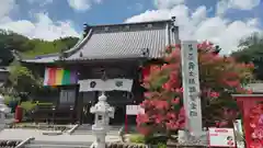 埼玉厄除け開運大師・龍泉寺（切り絵御朱印発祥の寺）(埼玉県)