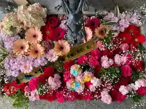 札幌諏訪神社の手水舎(2021年05月15日(土) 10時38分08秒投稿)