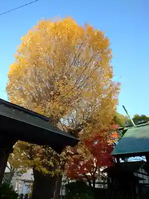 大垣大神宮の自然