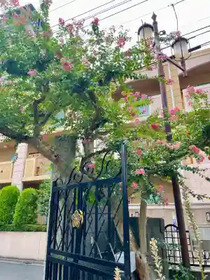 宝性寺(埼玉県)