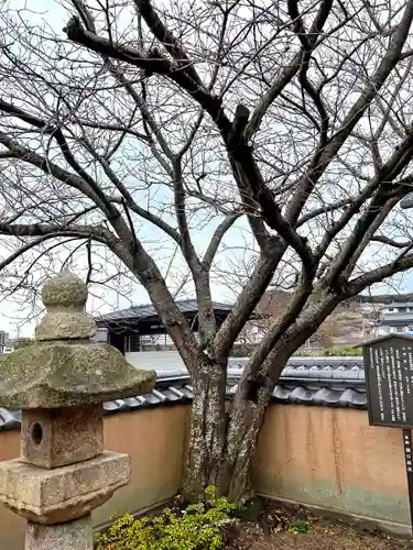 惣社宮(山口県)