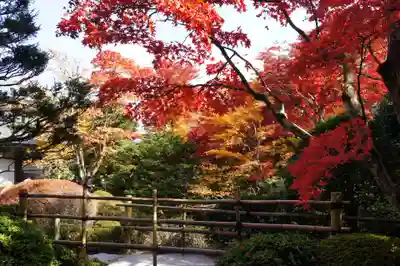 輪王寺(栃木県)