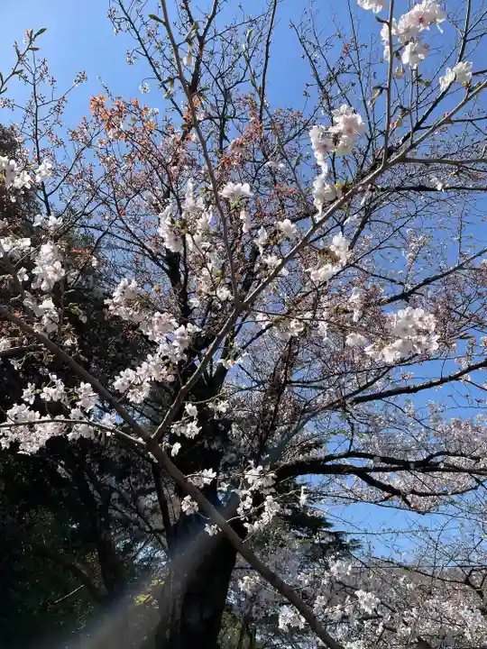 靖國神社(東京都)